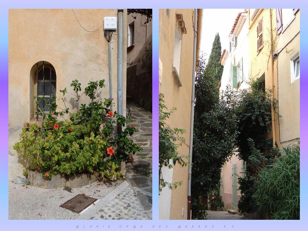 183 D24 BORMES LES MIMOSAS 2_000005.jpg